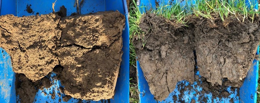 Two blocks of soil from fields with soil structure issues